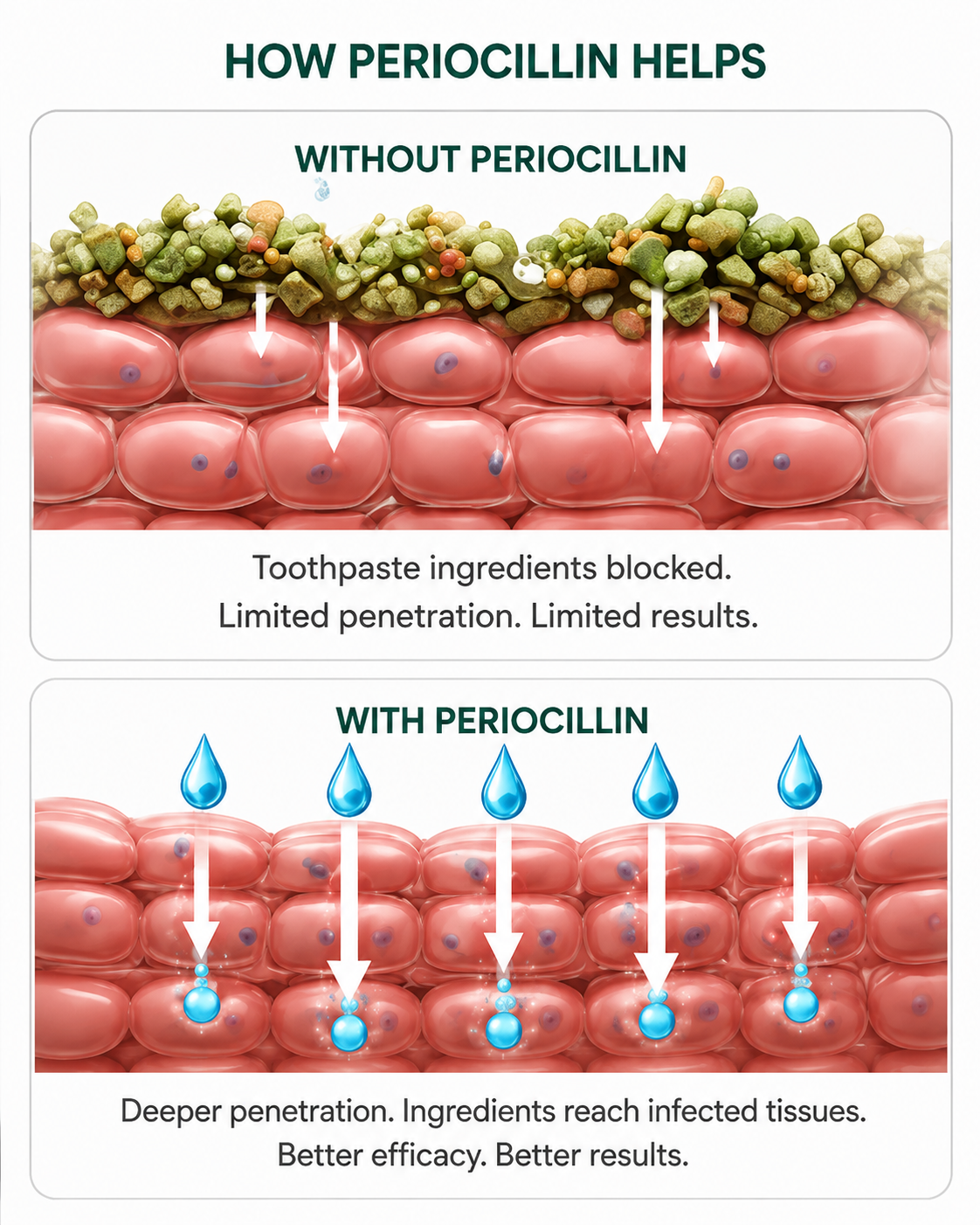 Illustration comparing surface coating with deeper gum-line interaction and bioavailable delivery